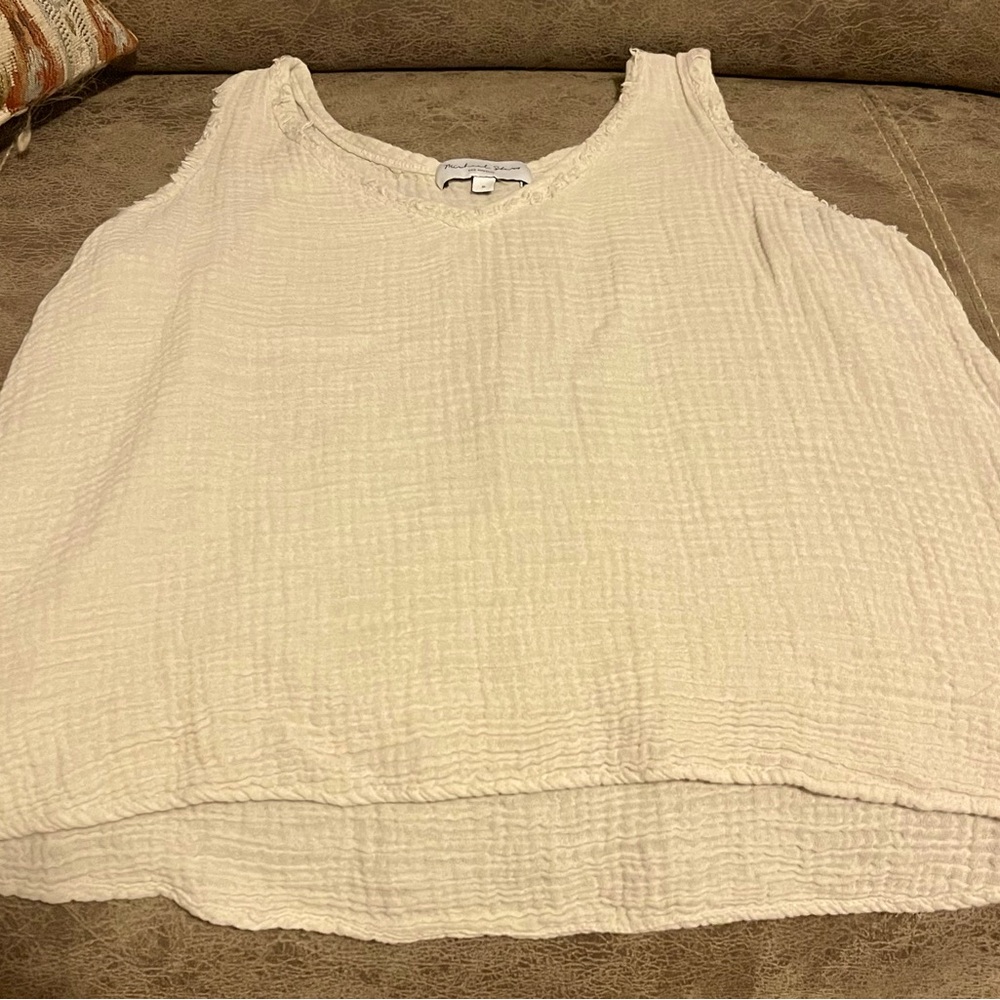 Michael Stars super soft gauzy v neck cropped tank.